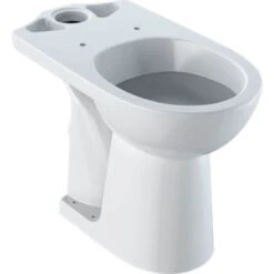 Geberit Selnova Comfort Close Coupled WC Pan - 501.456.00.6